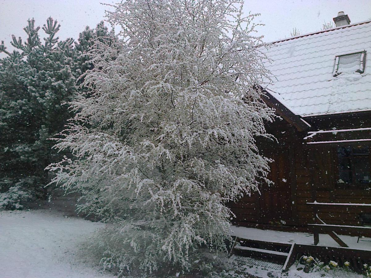 Dom Wiesia Kaszuby Do 8 Os. Holiday home